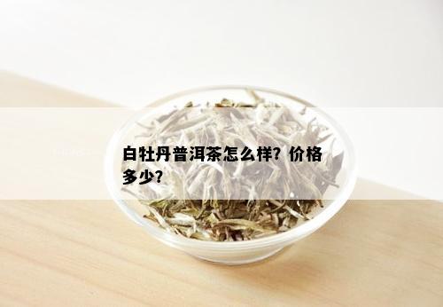 白牡丹普洱茶怎么样？价格多少？