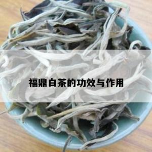 福鼎白茶的功效与作用