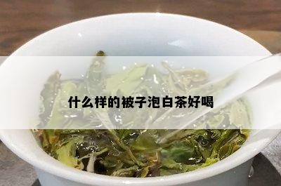 什么样的被子泡白茶好喝