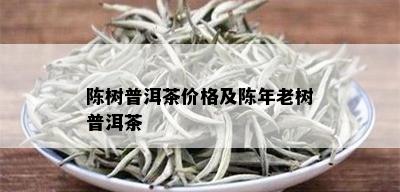 陈树普洱茶价格及陈年老树普洱茶