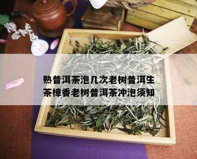 熟普洱茶泡几次老树普洱生茶樟香老树普洱茶冲泡须知