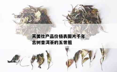 天美仕产品价格表图片千年古树普洱茶的五世祖