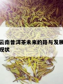 云南普洱茶未来的路与发展现状