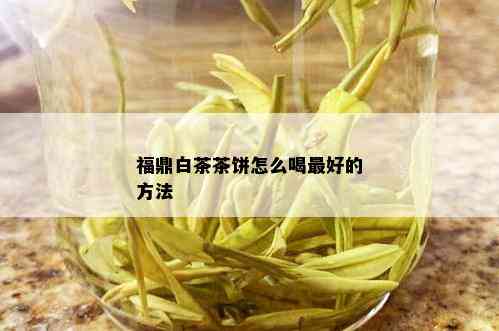 福鼎白茶茶饼怎么喝更好的方法