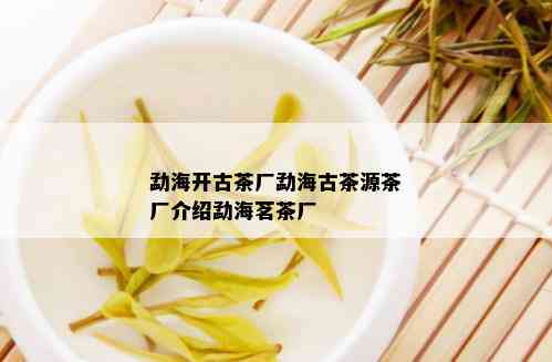 勐海开古茶厂勐海古茶源茶厂介绍勐海茗茶厂