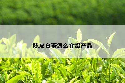 陈皮白茶怎么介绍产品