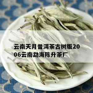 云南天月普洱茶古树版2006云南勐海陈升茶厂