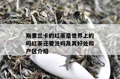 斯里兰卡的红茶是世界上的吗红茶还要洗吗及其好处和产区介绍