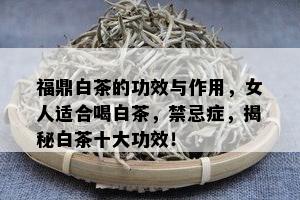 福鼎白茶的功效与作用，女人适合喝白茶，禁忌症，揭秘白茶十大功效！