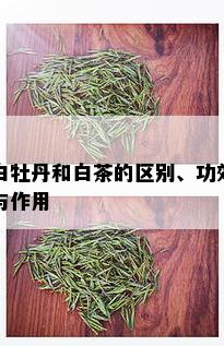 白牡丹和白茶的区别、功效与作用