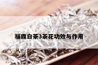 福鼎白茶3茶花功效与作用