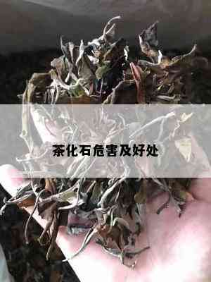 茶化石危害及好处