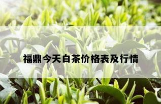 福鼎今天白茶价格表及行情