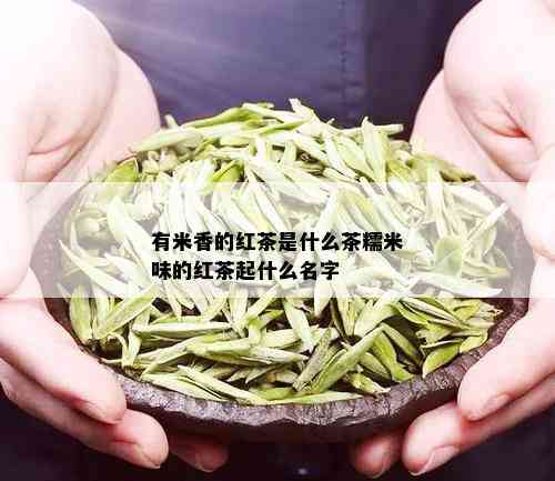 有米香的红茶是什么茶糯米味的红茶起什么名字