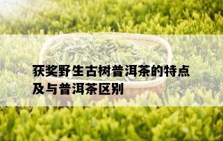 获奖野生古树普洱茶的特点及与普洱茶区别