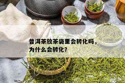 普洱茶放茶袋里会转化吗，为什么会转化？