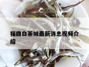 福鼎白茶城最新消息视频介绍