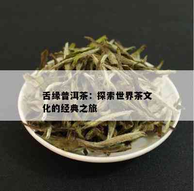 舌缘普洱茶：探索世界茶文化的经典之旅