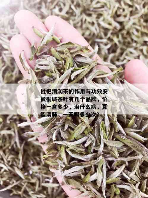 枇杷清润茶的作用与功效安徽桐城茶叶有几个品牌，价格一盒多少，治什么病，真能清肺，一天喝多少次？