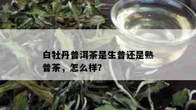 白牡丹普洱茶是生普还是熟普茶，怎么样？