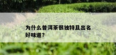 为什么普洱茶很独特且出名好味道?