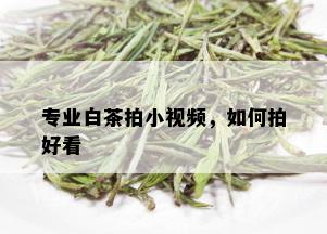 专业白茶拍小视频，如何拍好看