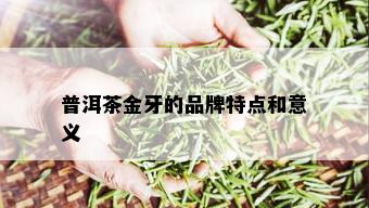 普洱茶金牙的品牌特点和意义