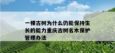 一棵古树为什么仍能保持生长的能力重庆古树名木保护管理办法