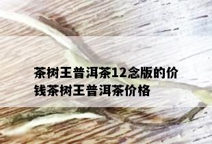 茶树王普洱茶12念版的价钱茶树王普洱茶价格