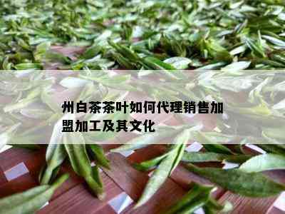 州白茶茶叶如何代理销售加盟加工及其文化