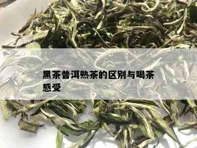 黑茶普洱熟茶的区别与喝茶感受