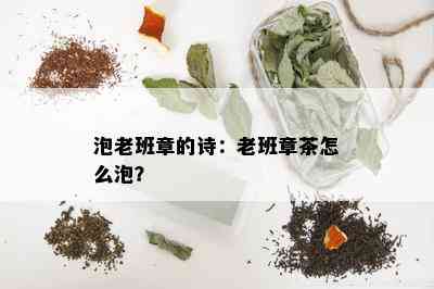 泡老班章的诗：老班章茶怎么泡？