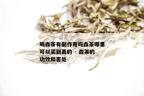 喝森茶有副作用吗森茶哪里可以买到真的 - 森茶的功效和害处