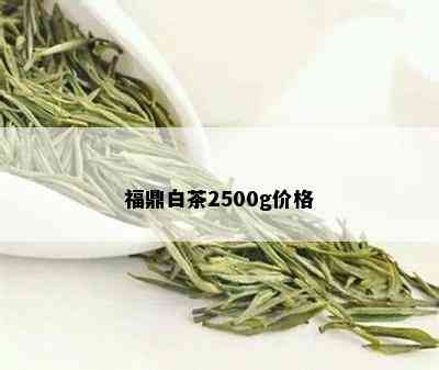 福鼎白茶2500g价格