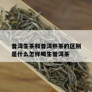 普洱生茶和普洱熟茶的区别是什么怎样喝生普洱茶