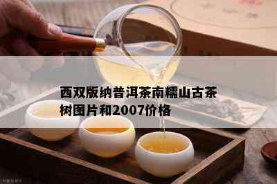 西双版纳普洱茶南糯山古茶树图片和2007价格