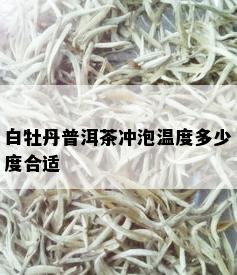 白牡丹普洱茶冲泡温度多少度合适