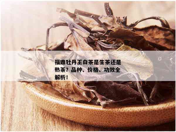 福鼎牡丹王白茶是生茶还是熟茶？品种、价格、功效全解析！