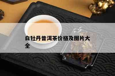 白牡丹普洱茶价格及图片大全