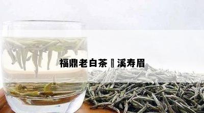 福鼎老白茶磻溪寿眉