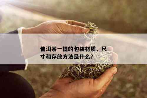 普洱茶一提的包装材质、尺寸和存放方法是什么？