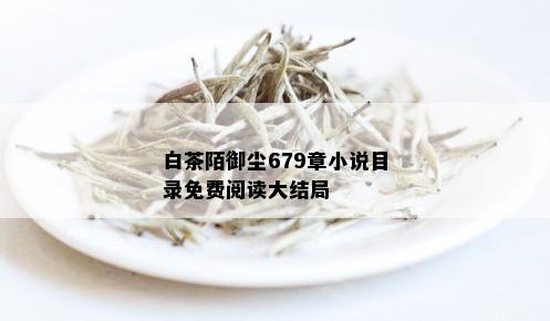 白茶陌御尘679章小说目录免费阅读大结局