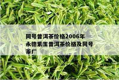 同号普洱茶价格2006年永德紫玉普洱茶价格及同号茶厂