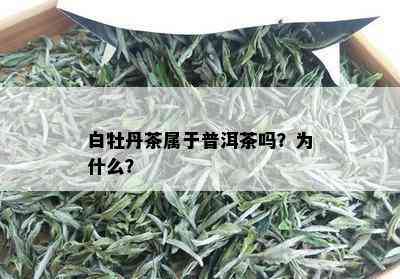 白牡丹茶属于普洱茶吗？为什么？