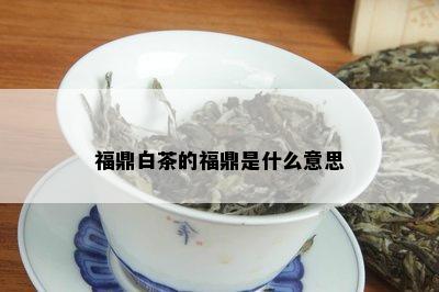 福鼎白茶的福鼎是什么意思