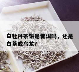 白牡丹茶饼是普洱吗，还是白茶或乌龙？