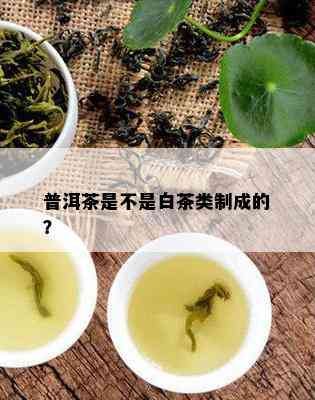 普洱茶是不是白茶类制成的？