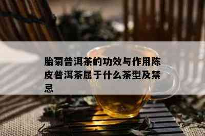 胎菊普洱茶的功效与作用陈皮普洱茶属于什么茶型及禁忌