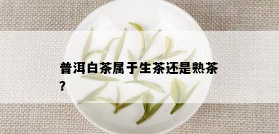 普洱白茶属于生茶还是熟茶？