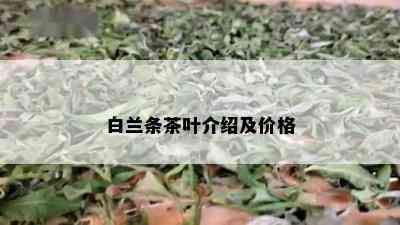 白兰条茶叶介绍及价格